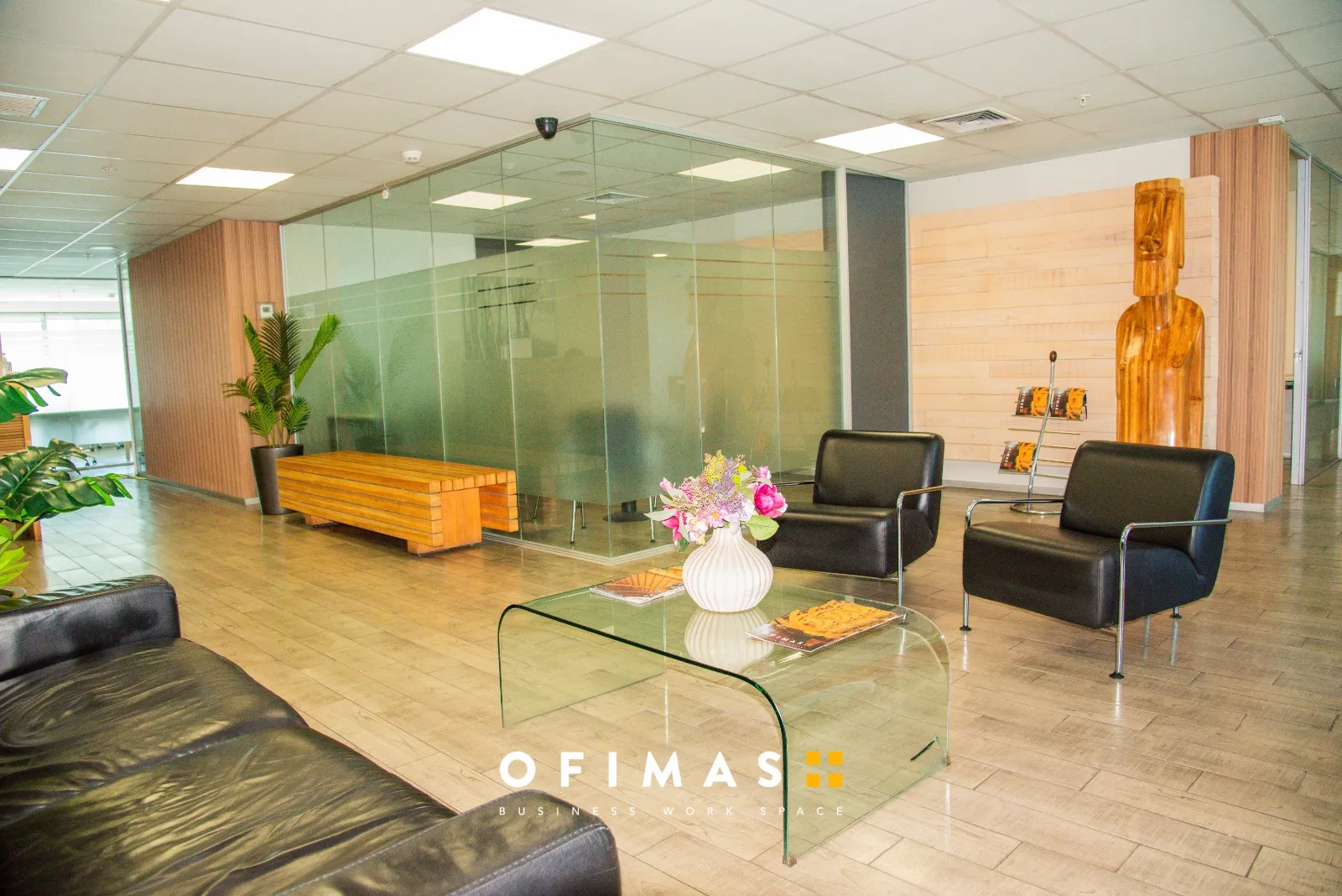 Recepción - Imagen 4